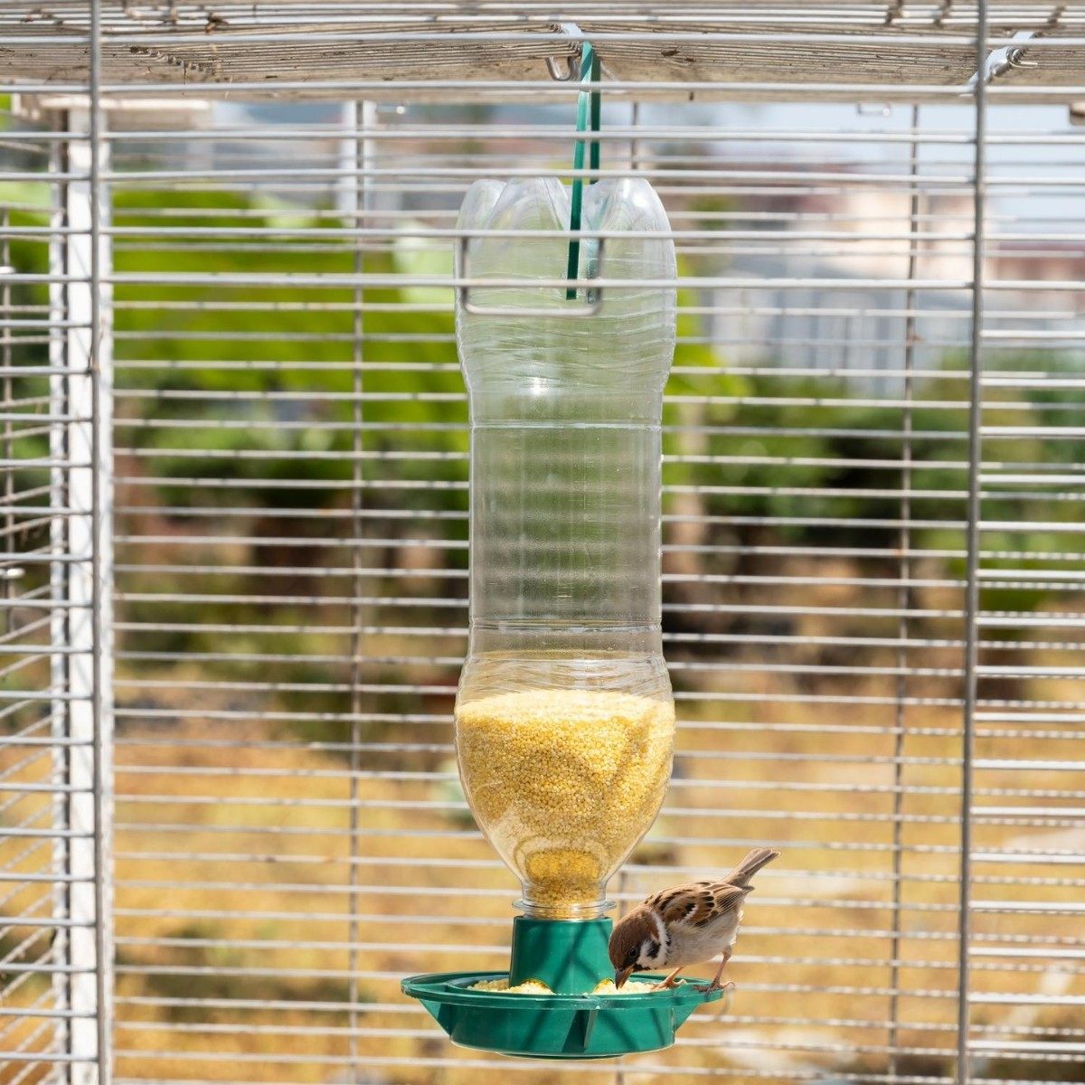 百搭柿柿如意创意好运可爱男好事发生背包仿真钥匙扣饰品小挂饰女,饰品/流行首饰/时尚饰品新,其他DIY饰品配件,淘宝优惠券,粉丝福利购,淘宝优惠卷