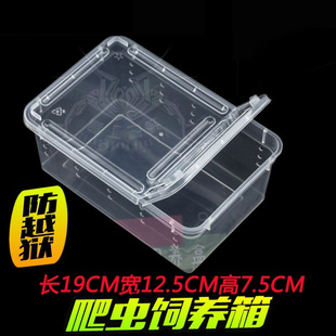 饲养盒乌龟蚕宝宝爬宠蚕宝宝饲养盒开孔通风塑料透明小盒双向开合