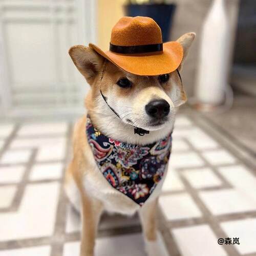 小型犬围嘴花纹西部宠物狗狗拍照牛仔帽帽子头饰品猫咪帽牛仔可爱