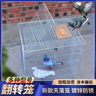 新款自动翻转天落笼加粗加密翻板笼镀锌升级版拼装户外神器鸽子笼