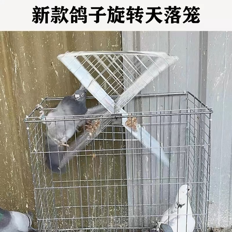 自动翻转天落笼可折叠镀锌便携带门翻板笼防丢笼收鸽笼室外鸟神器