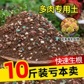 多肉颗粒土多肉土专用营养土壤种植土思威博花土盆栽纯颗粒铺面石