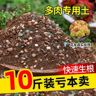 多肉专用颗粒土营养土多肉种植土壤花土盆栽思威博颗粒铺面麦饭石