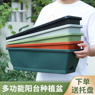 阳台室内蔬菜种植箱特大菜盆思威博家庭园艺加厚种菜养花塑料花盆