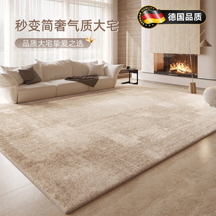 德国2026新款客厅地毯免洗可擦沙发地垫家用轻奢高级感卧室床边毯