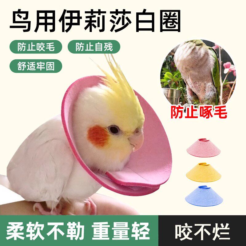 玄凤鹦鹉伊丽莎白圈保护项圈牡丹和尚防啄毛鸟用防啃咬毛脖套头套