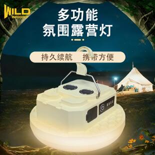 BRIGHT户外照明灯便携家用停电应急灯高亮长续航摆摊夜市灯 WILD