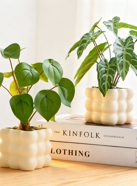 量感暖核云朵桌面绿植盆栽摆件