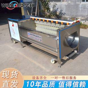 荸荠去泥毛辊清洗机 大姜去皮清洗机 根茎类蔬菜去皮清洗设备