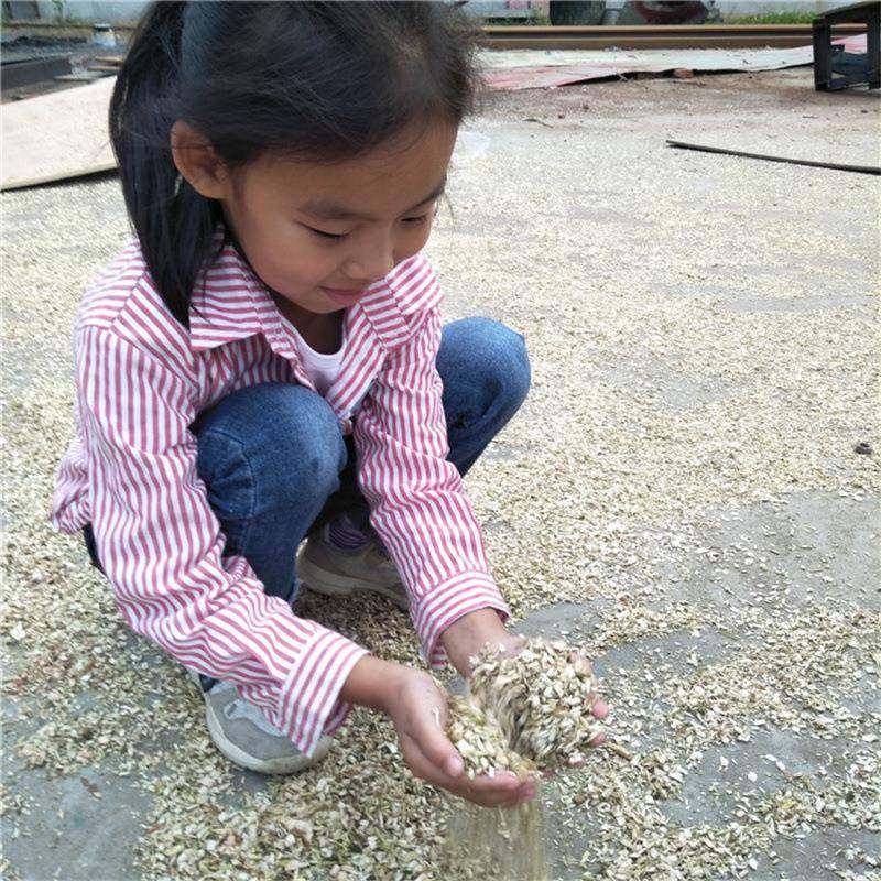 油电两用杉木竹子粉碎设备 木屑粉碎机 菇木切片破碎机现货