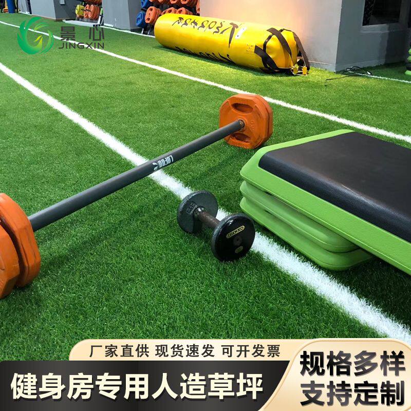 健身房跳操杠铃训练防滑垫室内运动隔音健身地垫仿真草坪