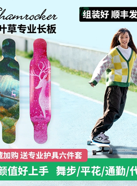 女生初学者专用长板滑板