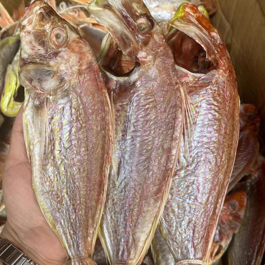 阳江红杉鱼干正宗红三自晒风干整条鱼海鲜干货特产咸鱼9成干真空