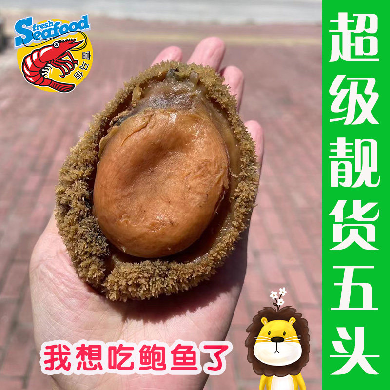 南非网鲍鲍鱼干大鲍鱼新鲜淡晒海味海鲜干货水产5头日本澳洲网鲍