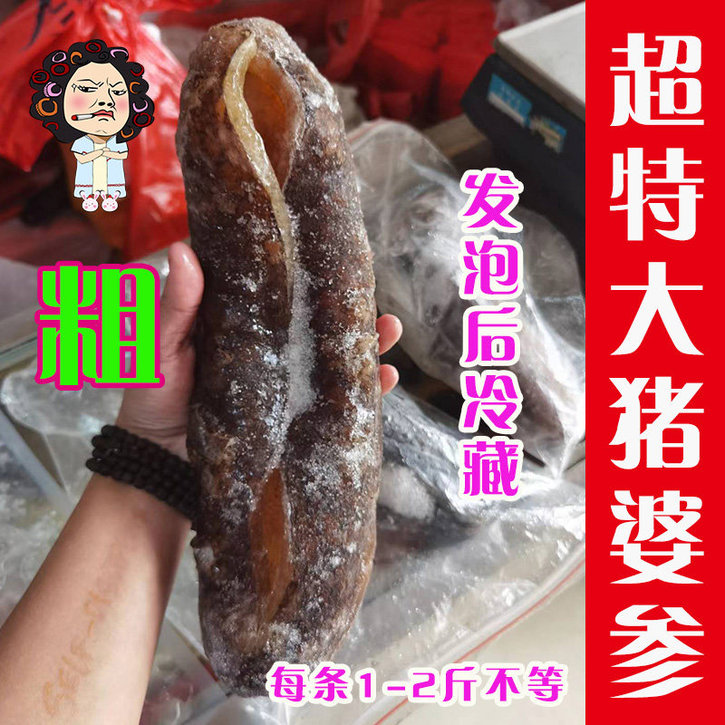 黑花猪婆参海鲜干货海参淡干澳洲非洲黑白猪婆参非乌石参麻石参