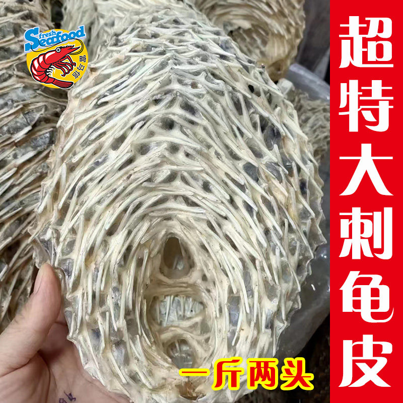 超大刺龟皮刺鲍鱼刺鱼皮刺鸡皮刺鲀皮刺猬深海鱼海刺猬刺豚海胆皮