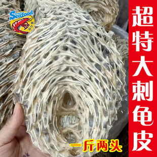 超大刺龟皮刺鲍鱼刺鱼皮刺鸡皮刺鲀皮刺猬深海鱼海刺猬刺豚海胆皮