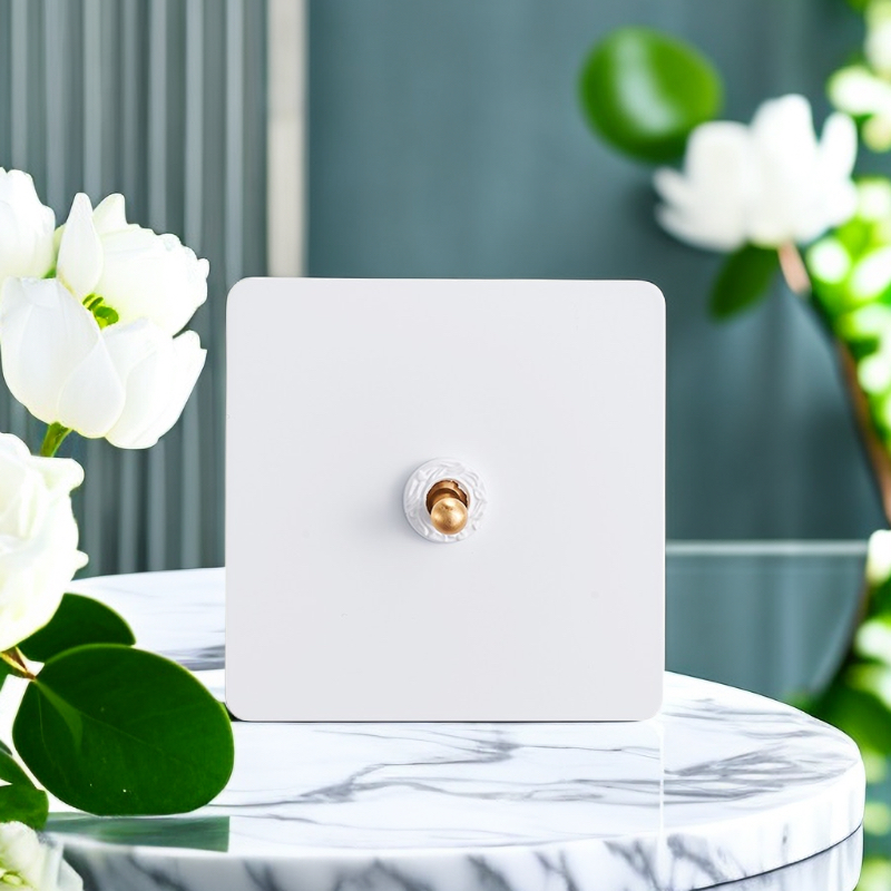 汉王复古开关哑白单开