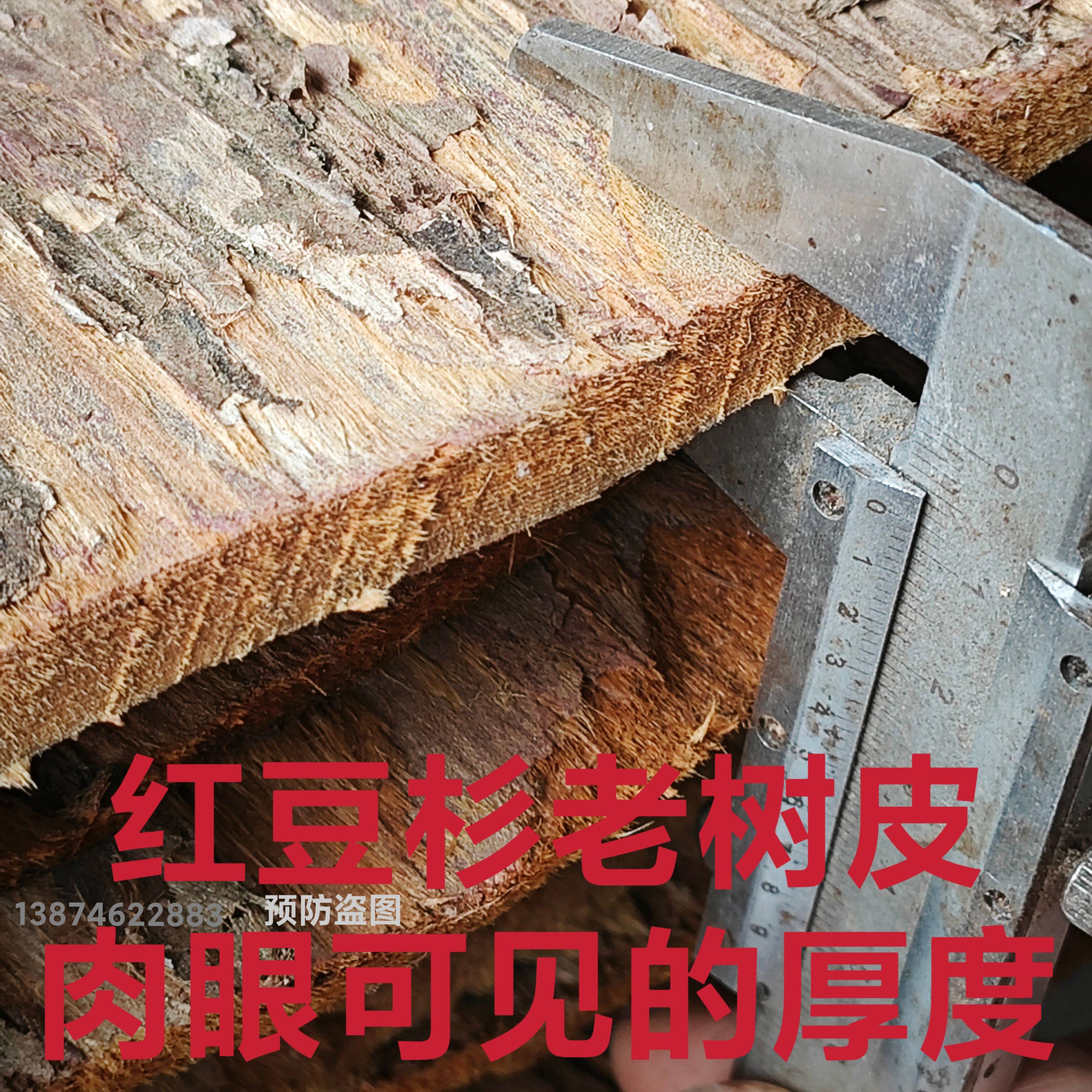 红豆杉老皮紫杉醇含量更高正宗高树龄中药材紫杉赤柏松红豆杉树皮
