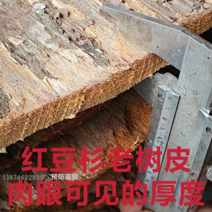 红豆杉老皮紫杉醇含量更高正宗高树龄中药材紫杉赤柏松红豆杉树皮