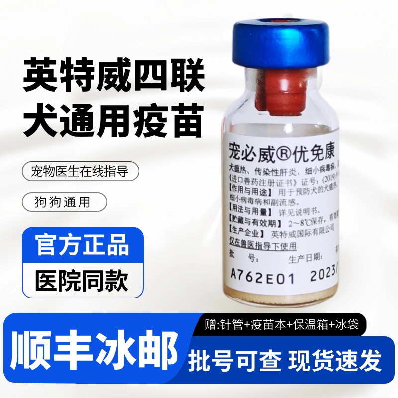 宠物英特威狗狗加强套餐成犬