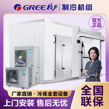 格力冷库全套设备 冷库制冷机组压缩保鲜鲜花果蔬移动冻库冷藏