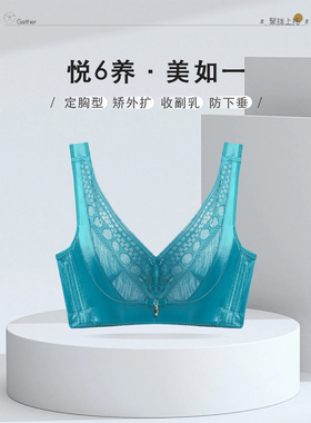 Rephresh/瑞法斯女文胸聚拢软钢圈调整型收副乳不空杯内衣5809