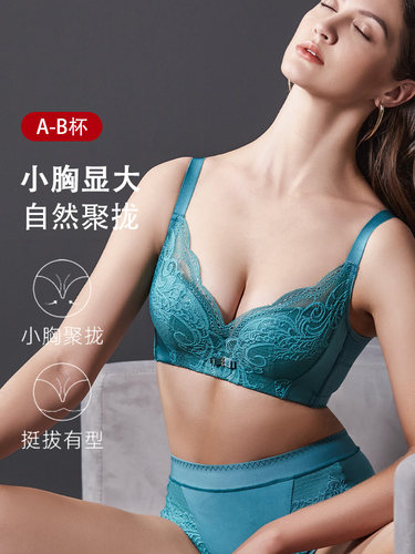 瑞法斯软钢圈聚拢小胸显大文胸
