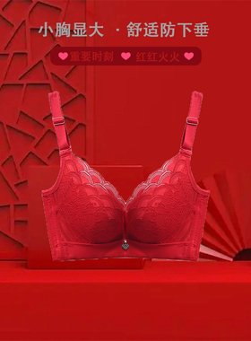 Rephresh/瑞法斯红色内衣小胸显大本命年婚庆红聚拢小胸文胸5814