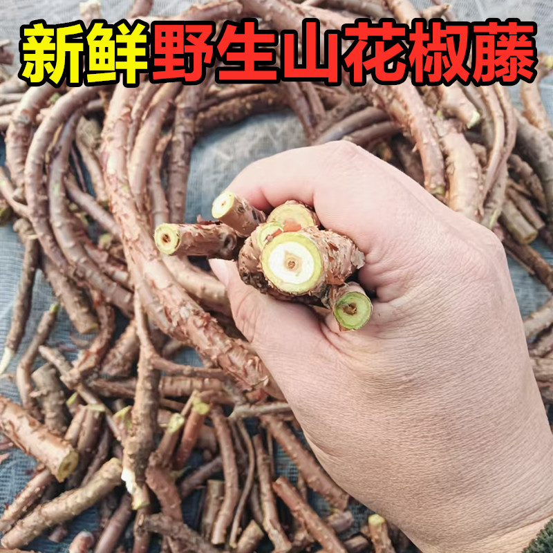 新货东北野生山花椒藤条五味子茎炖肉炖鸡调料新鲜花椒自采自销