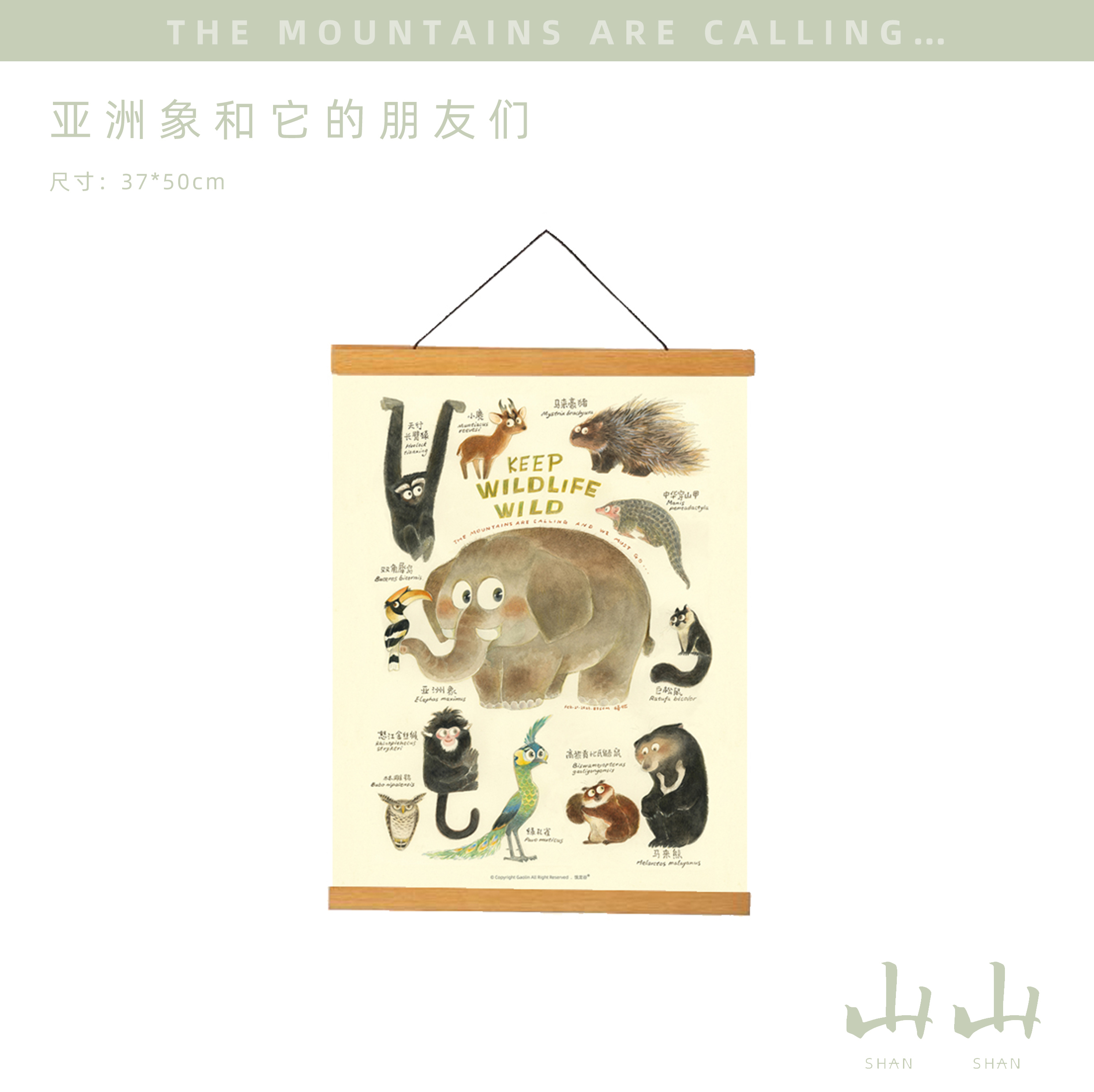 【山山空间】亚洲象和它的朋友们室内墙面桌面装饰画海报原创插画图片