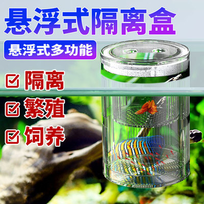 鱼缸隔离盒孵化盒孔雀鱼凤尾繁殖