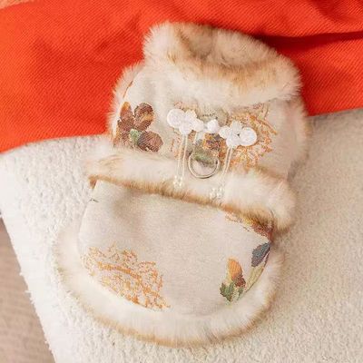 秋冬季狗狗小型犬泰迪过