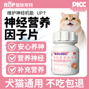 皇族宠物神经营养因子片安心养神猫狗营养神经滋养强体质胆小通用