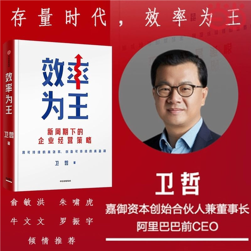 效率为王 阿里巴巴前CEO卫哲作品 嘉御资本 新周期下的企业经营策略 降低成本 提高效率 俞敏洪罗振宇等推荐 中信出版社 正版现货