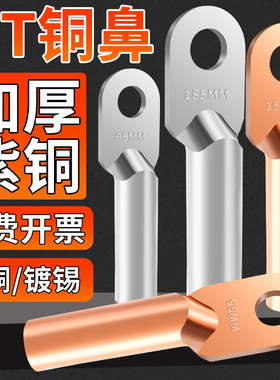 国标DT铜鼻子接线端子紫铜镀锡线鼻子线耳10/16/25/35/50/70平方