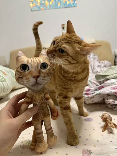 猫meme可爱抽象10cm乳鼠干骨架可凹造型成品挂件