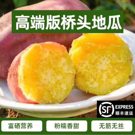 【官方正版】正宗海南澄迈富硒桥头地瓜辅食板栗红薯现挖发货