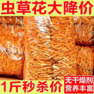 新鲜虫草花干货农家特产冬虫草菌菇蛹虫草煲汤孢子头食用菌菇商用
