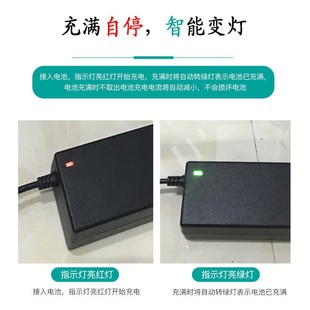 小米9号九号平衡车充电器适用3三4四孔头阿尔郎通用63v冲电线54v