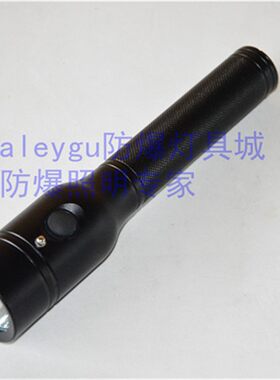 华荣BAD203节能强光防爆电筒上海宝临BAD202B手电筒专用充电器