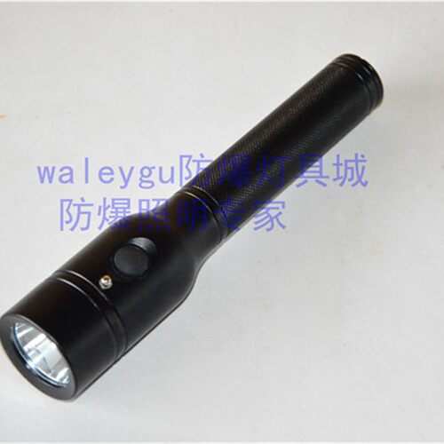 华荣BAD203节能强光防爆电筒上海宝临BAD202B手电筒专用充电器