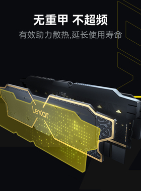 雷克沙雷神之锤DDR5内存条32GB（16GBx2）6000电脑双通道马甲条