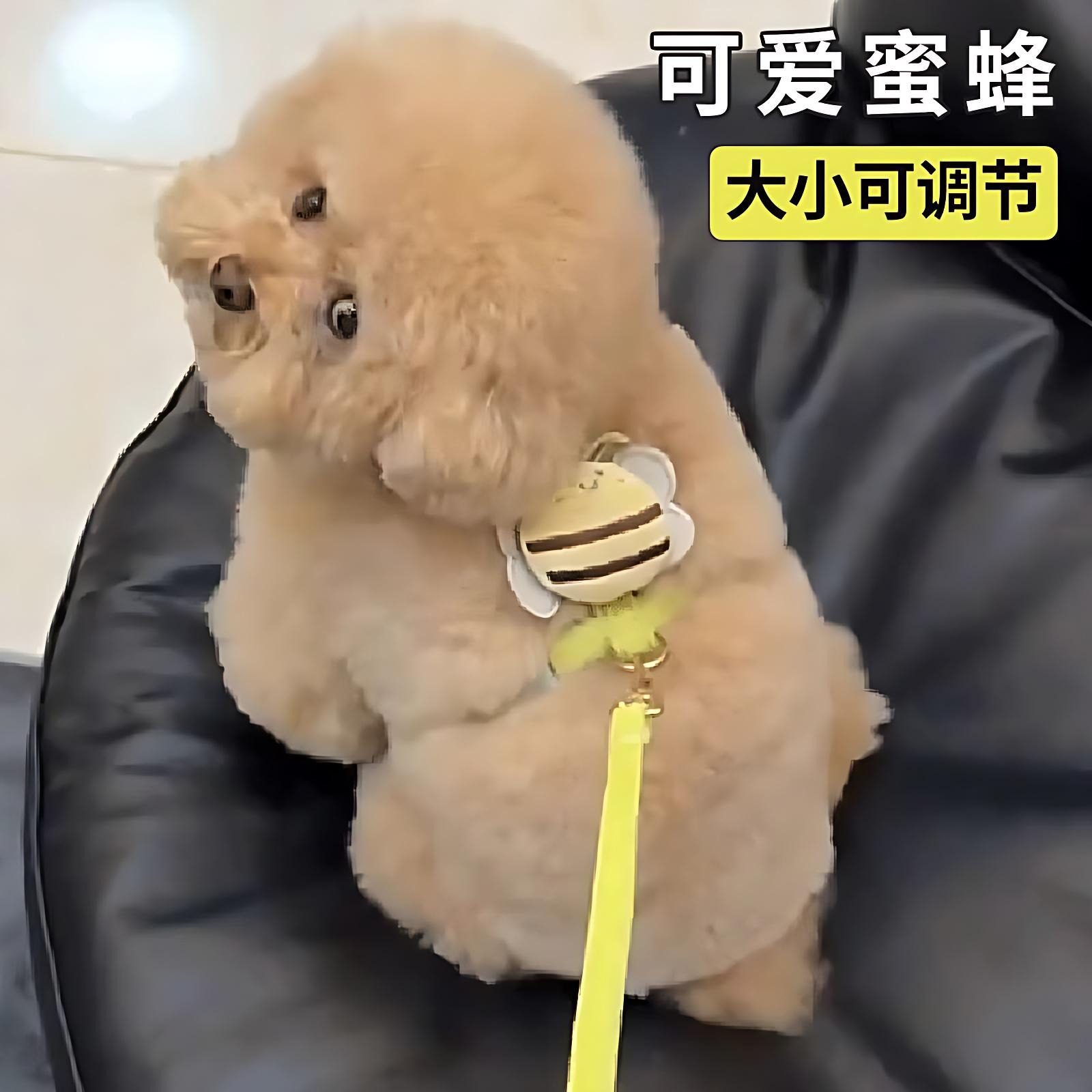 猫咪牵引绳防挣脱外出专用宠物兔子背心遛猫专用溜小猫链子猫绳子,宠物/宠物食品及用品,猫牵引绳,淘宝优惠券,粉丝福利购,淘宝优惠卷