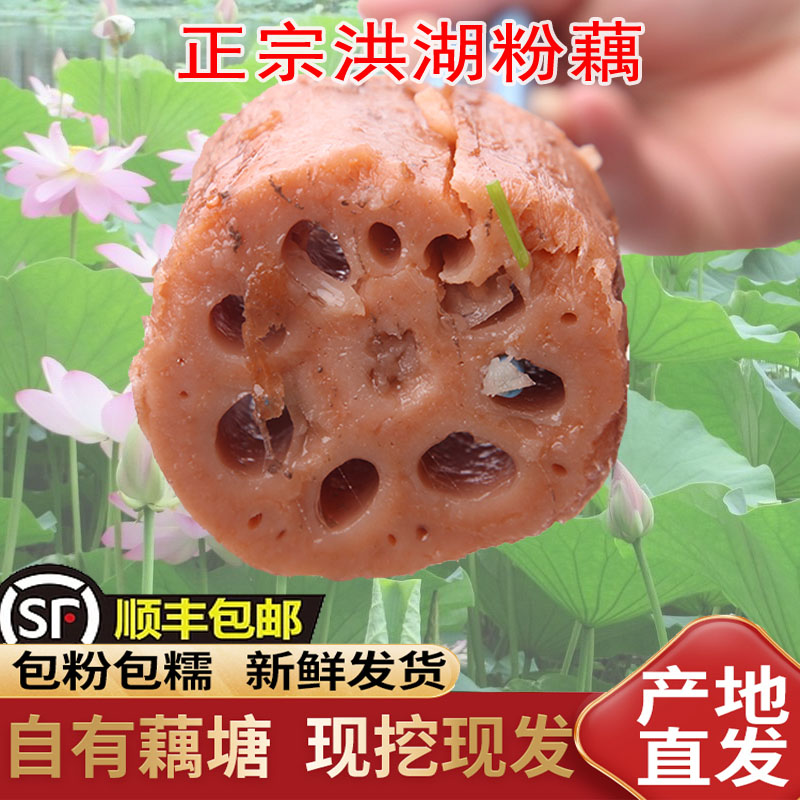 荷辉莲藕煲汤粉糯洪湖原产地发货