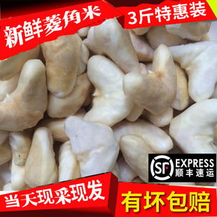 菱角米新鲜蔬菜老菱角湖北洪湖土特产去壳现剁2斤大菱角顺丰包邮