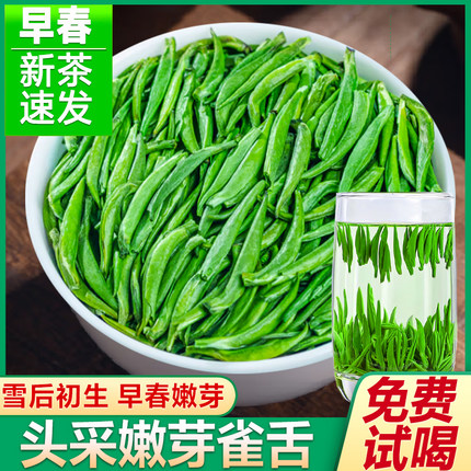 雀舌2025新茶绿茶头采明前特级春茶恩施硒茶绿茶高山毛尖茶叶250g