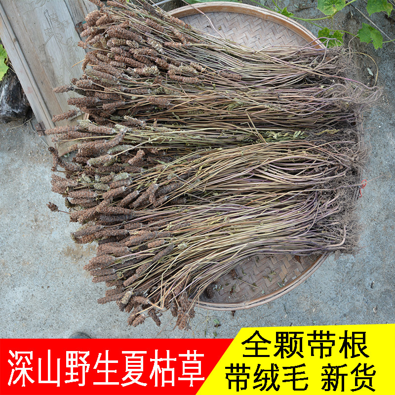 山野夏枯草中药材500g正品整颗夏菇草球广东凉茶养生茶另售猫爪草,传统滋补营养品,其他药食同源食品,淘宝优惠券,粉丝福利购,淘宝优惠卷