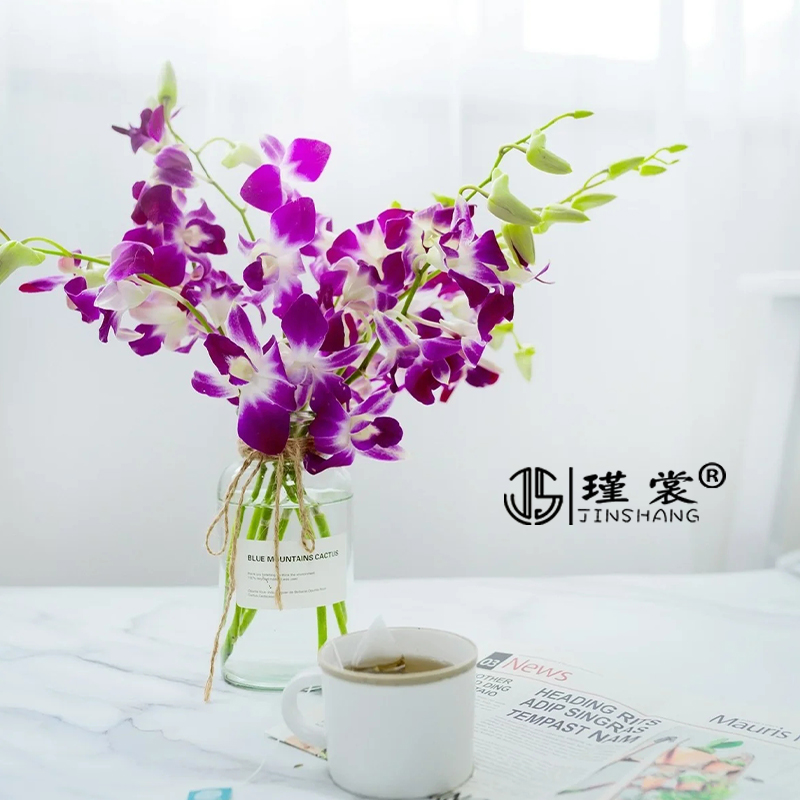 瑾裳|洋兰鲜花泰国千代兰花可爱粉紫色花家庭插花办公水养鲜切花