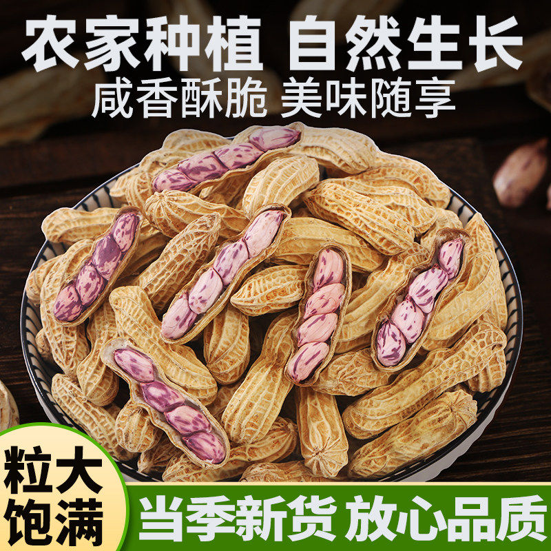 2025新货！咸香熟带壳七彩花生